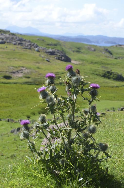Highland Holiday House Villa Durness Bagian luar foto