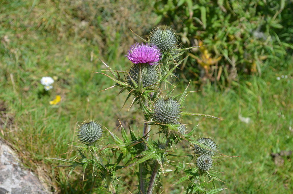 Highland Holiday House Villa Durness Bagian luar foto