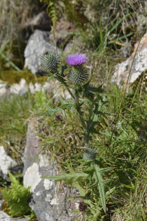 Highland Holiday House Villa Durness Bagian luar foto
