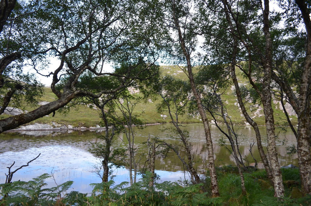 Highland Holiday House Villa Durness Bagian luar foto